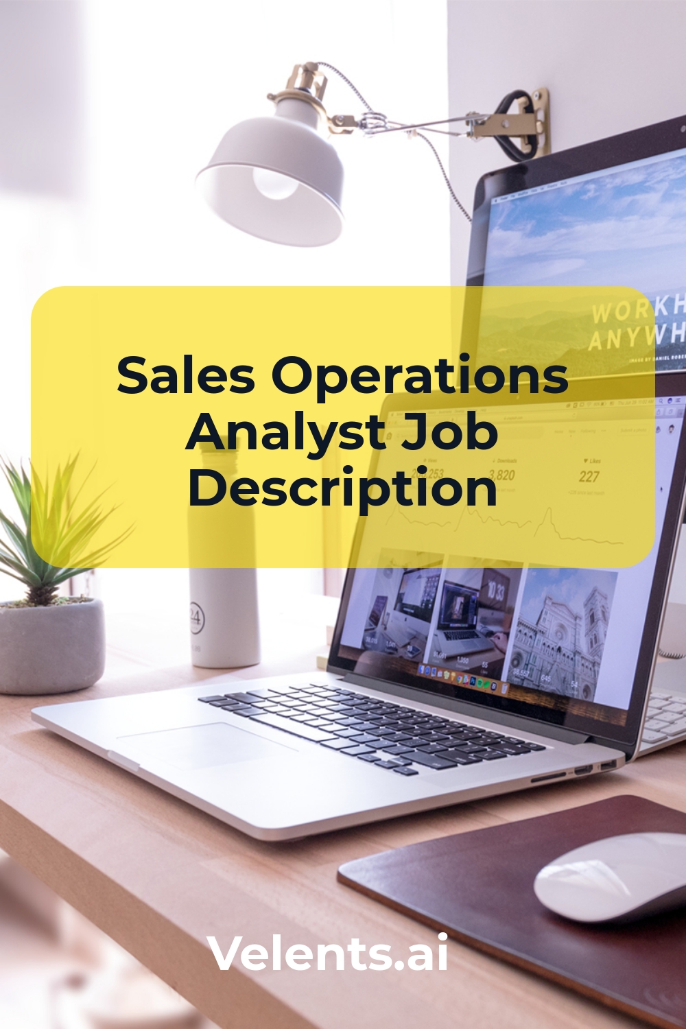 Sales Operations Analyst Velents